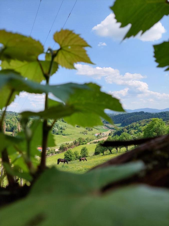 Masnec Tourist Farm Farmház
